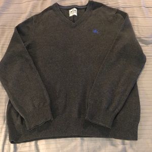 Express men’s v-neck sweater